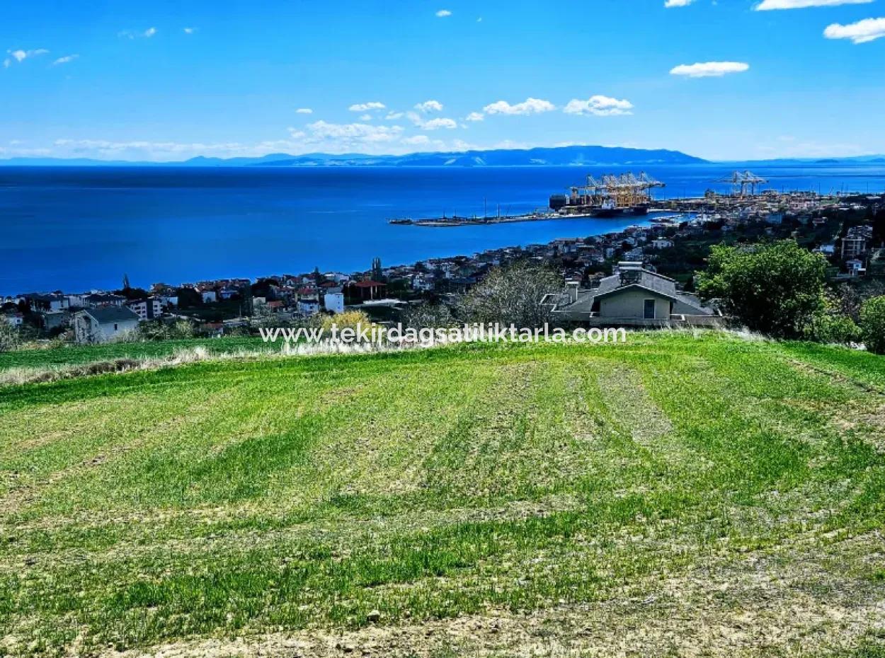 Full Sea And Nature Landscape Infrastructure Ready Luxury 45 Flats Cooperative And Coupon Land Suitable For Site Construction