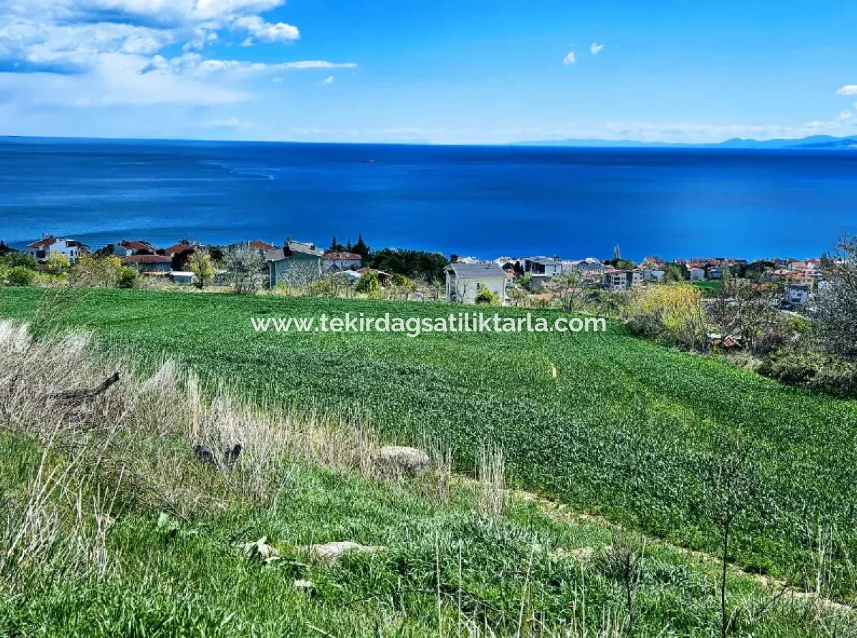 Full Sea And Nature Landscape Infrastructure Ready Luxury 45 Flats Cooperative And Coupon Land Suitable For Site Construction