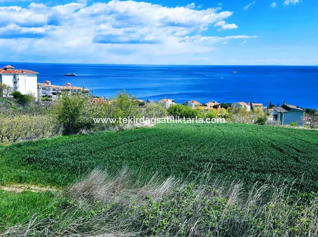 Full Sea And Nature Landscape Infrastructure Ready Luxury 45 Flats Cooperative And Coupon Land Suitable For Site Construction