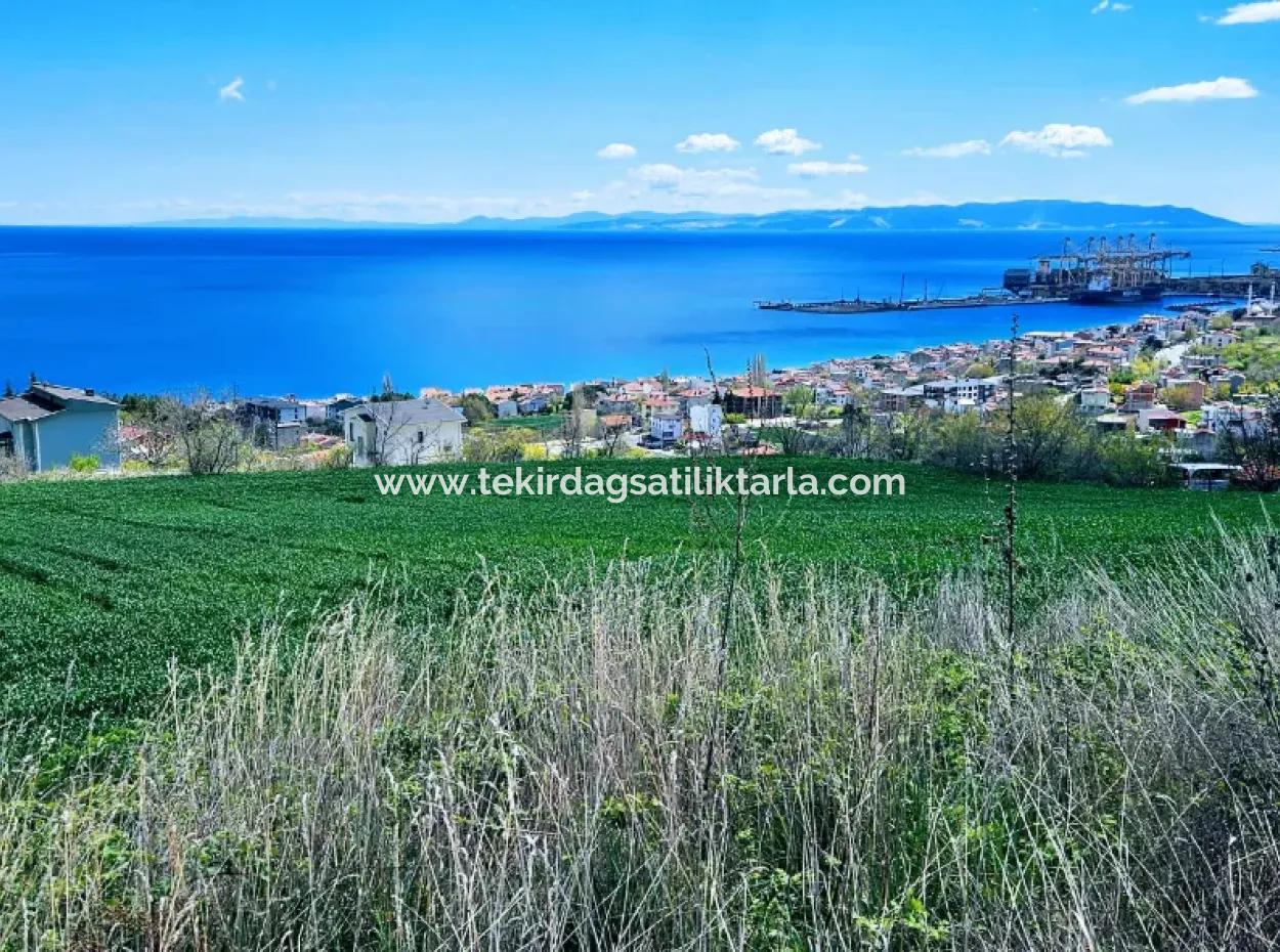 Full Sea And Nature Landscape Infrastructure Ready Luxury 45 Flats Cooperative And Coupon Land Suitable For Site Construction