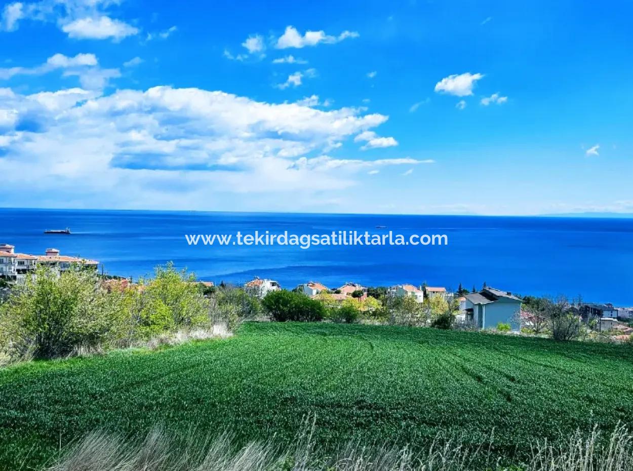 Full Sea And Nature Landscape Infrastructure Ready Luxury 45 Flats Cooperative And Coupon Land Suitable For Site Construction