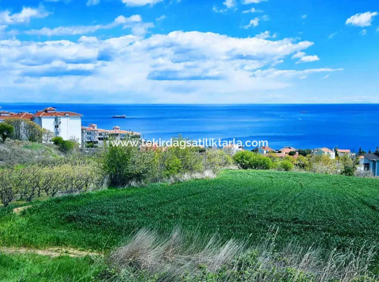 Full Sea And Nature Landscape Infrastructure Ready Luxury 45 Flats Cooperative And Coupon Land Suitable For Site Construction