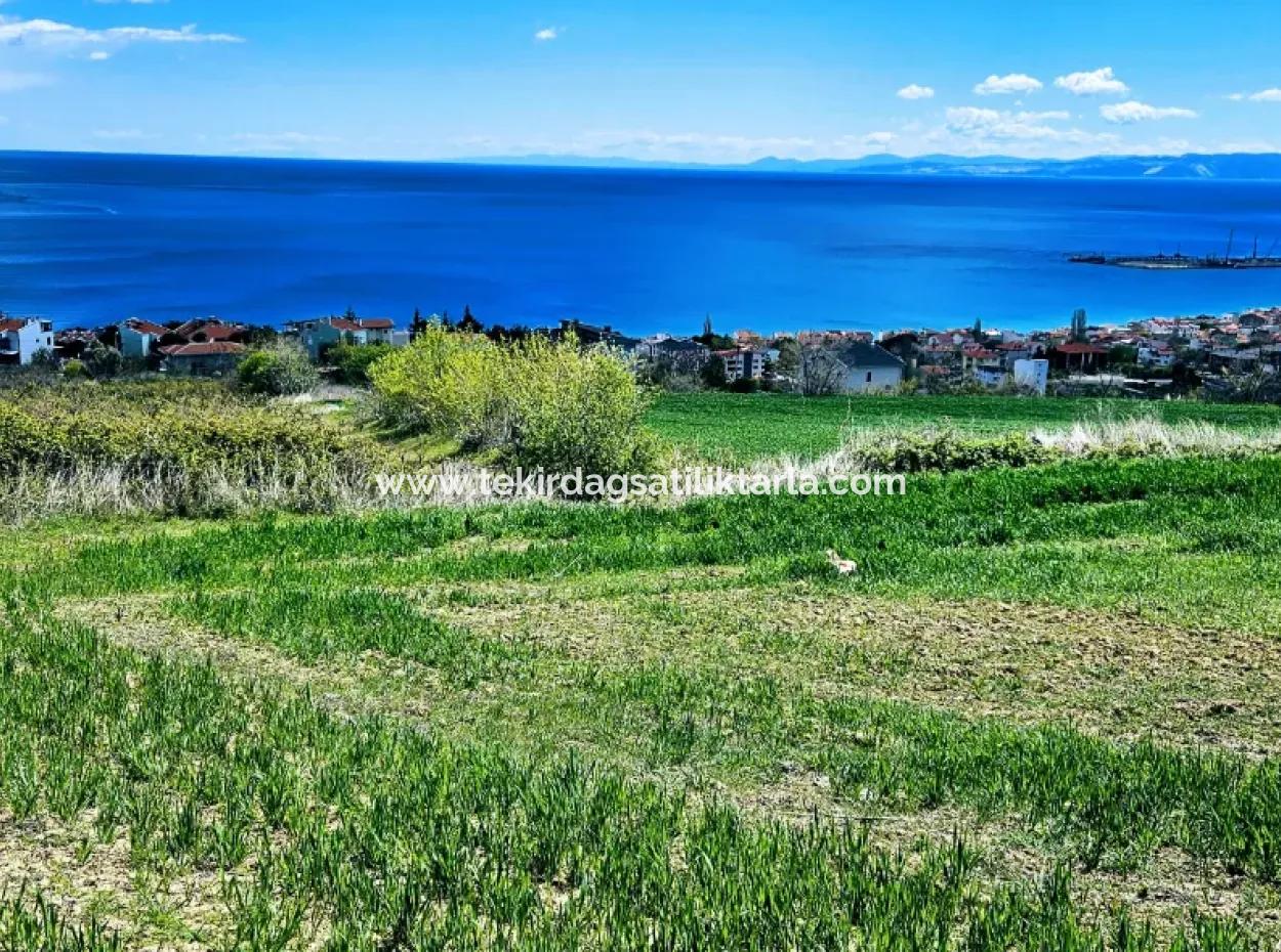 Full Sea And Nature Landscape Infrastructure Ready Luxury 45 Flats Cooperative And Coupon Land Suitable For Site Construction