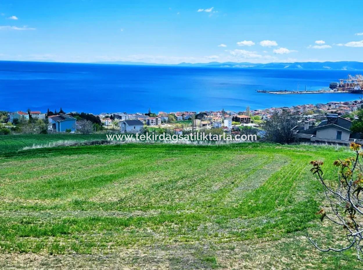 Full Sea And Nature Landscape Infrastructure Ready Luxury 45 Flats Cooperative And Coupon Land Suitable For Site Construction