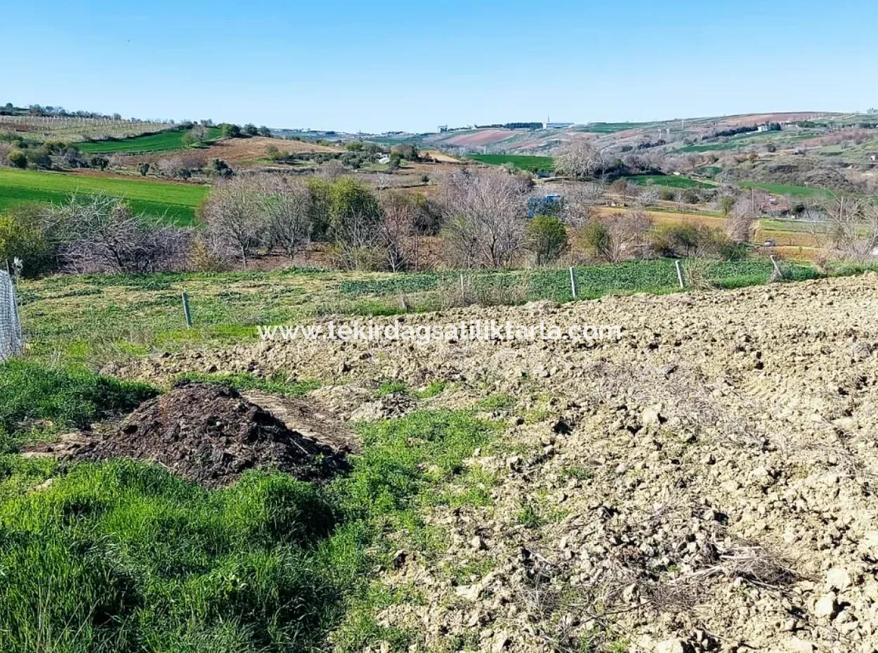 Investment Opportunity: 615 M2 Corner Land For Sale In Tekirdag Barbaros - Urgent Sale, Sea And Nature View, 0 Zoned