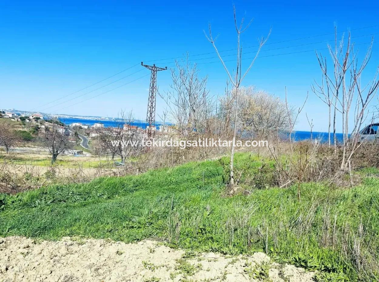 Investment Opportunity: 615 M2 Corner Land For Sale In Tekirdag Barbaros - Urgent Sale, Sea And Nature View, 0 Zoned