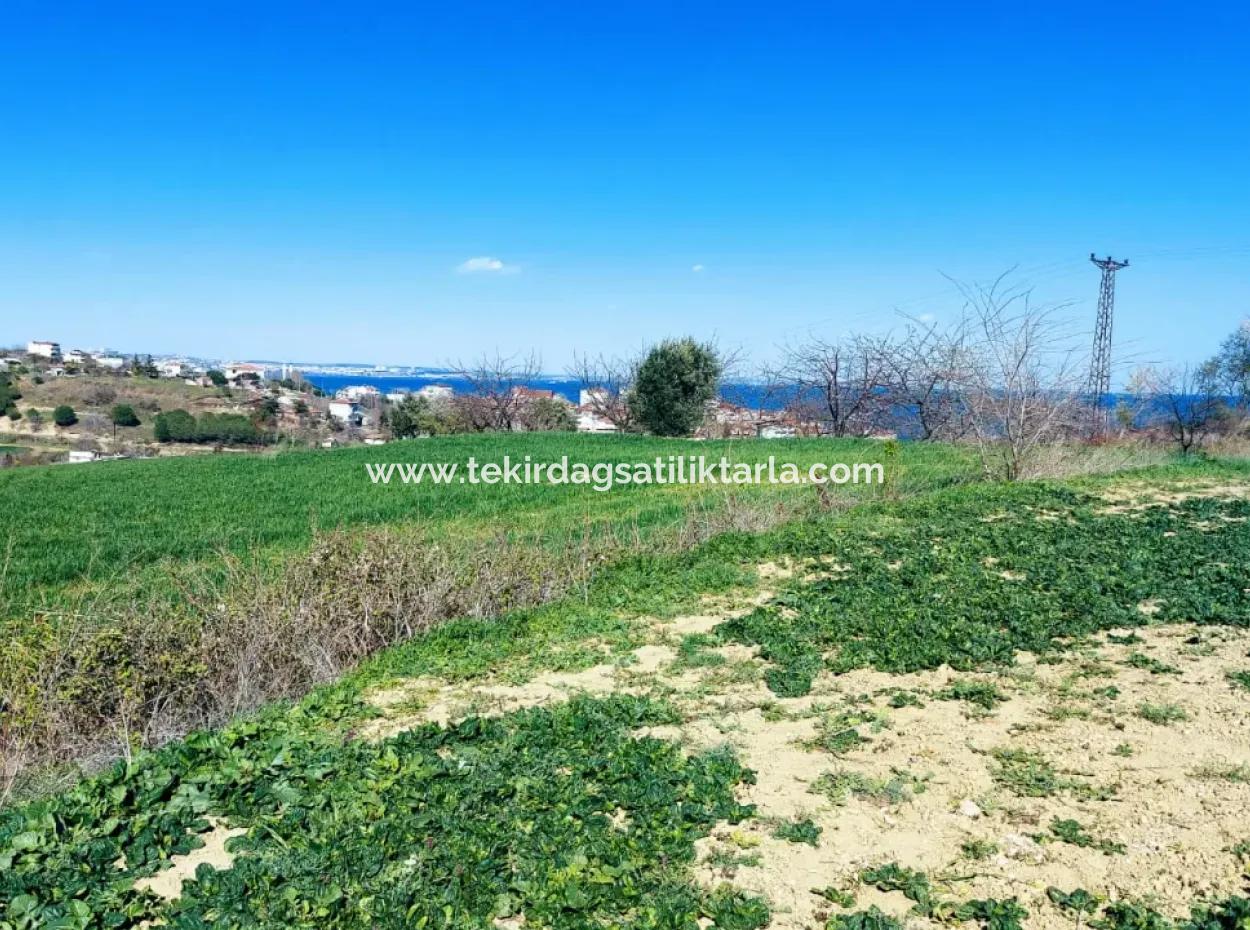 Investment Opportunity: 615 M2 Corner Land For Sale In Tekirdag Barbaros - Urgent Sale, Sea And Nature View, 0 Zoned