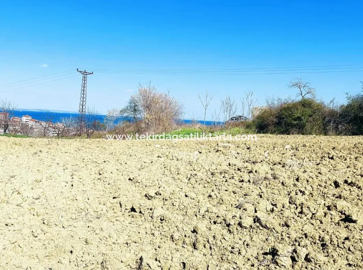 Investment Opportunity: 615 M2 Corner Land For Sale In Tekirdag Barbaros - Urgent Sale, Sea And Nature View, 0 Zoned