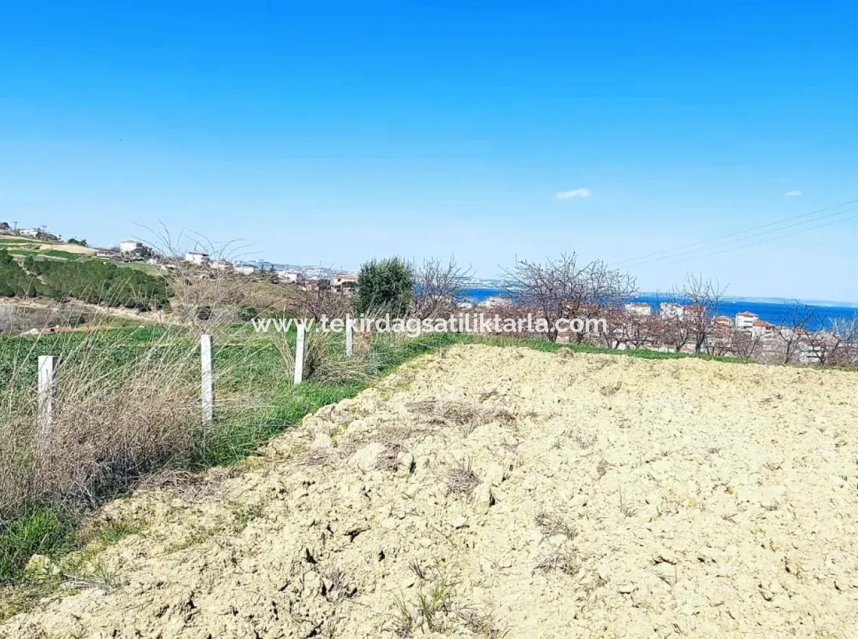 Investment Opportunity: 615 M2 Corner Land For Sale In Tekirdag Barbaros - Urgent Sale, Sea And Nature View, 0 Zoned