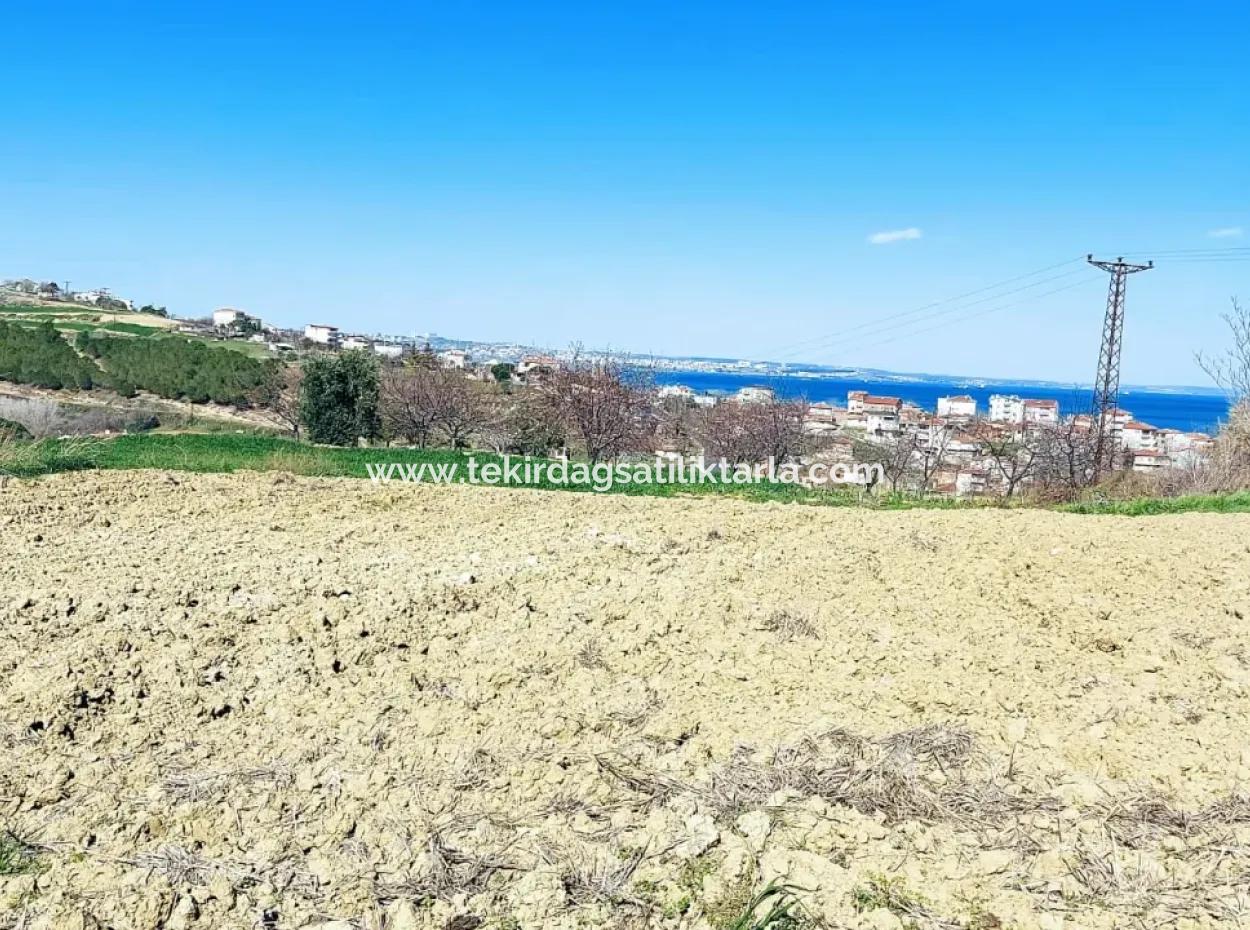 Investment Opportunity: 615 M2 Corner Land For Sale In Tekirdag Barbaros - Urgent Sale, Sea And Nature View, 0 Zoned