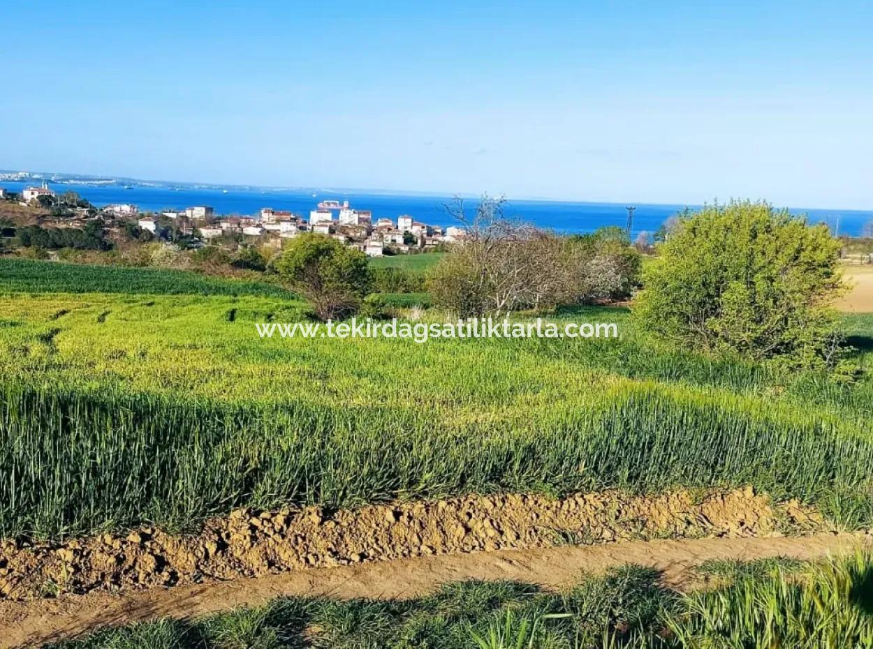 Investment Opportunity: 615 M2 Corner Land For Sale In Tekirdag Barbaros - Urgent Sale, Sea And Nature View, 0 Zoned