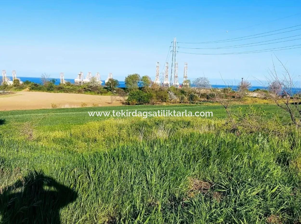 Investment Opportunity: 615 M2 Corner Land For Sale In Tekirdag Barbaros - Urgent Sale, Sea And Nature View, 0 Zoned
