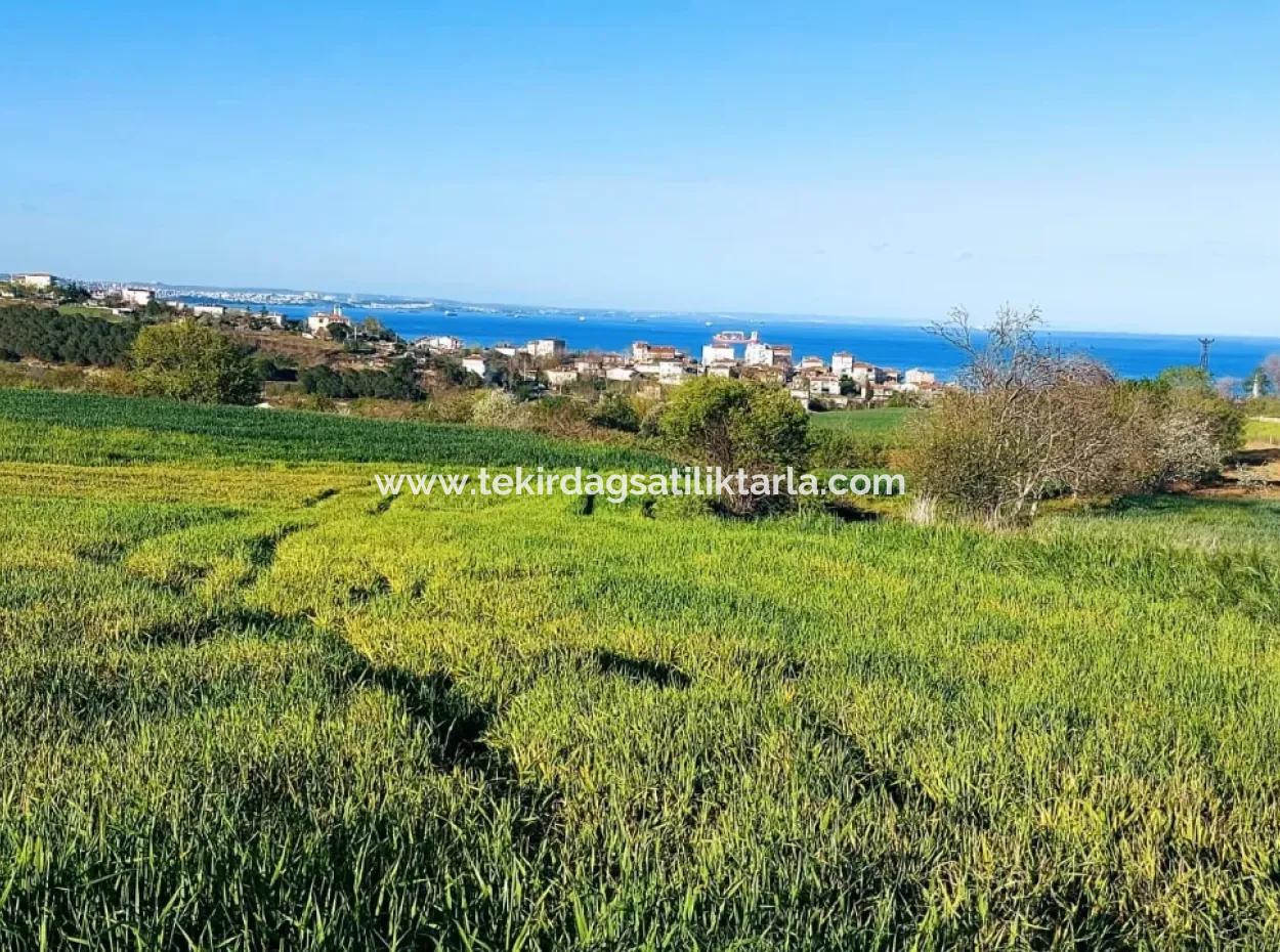 Investment Opportunity: 615 M2 Corner Land For Sale In Tekirdag Barbaros - Urgent Sale, Sea And Nature View, 0 Zoned