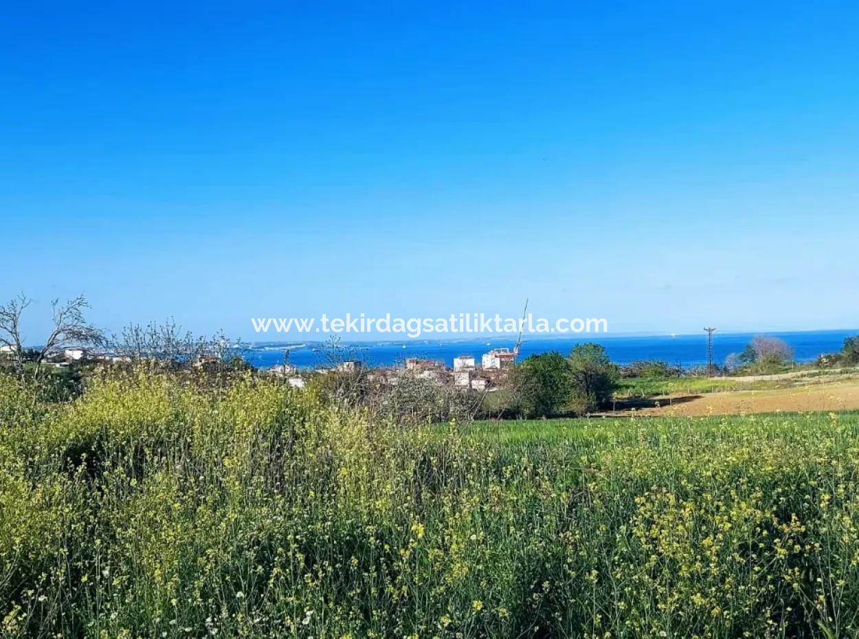 Investment Opportunity: 615 M2 Corner Land For Sale In Tekirdag Barbaros - Urgent Sale, Sea And Nature View, 0 Zoned