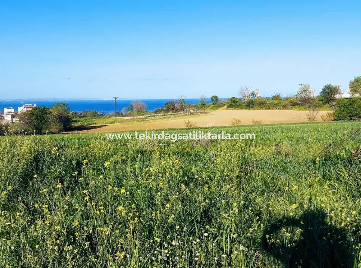 Investment Opportunity: 615 M2 Corner Land For Sale In Tekirdag Barbaros - Urgent Sale, Sea And Nature View, 0 Zoned