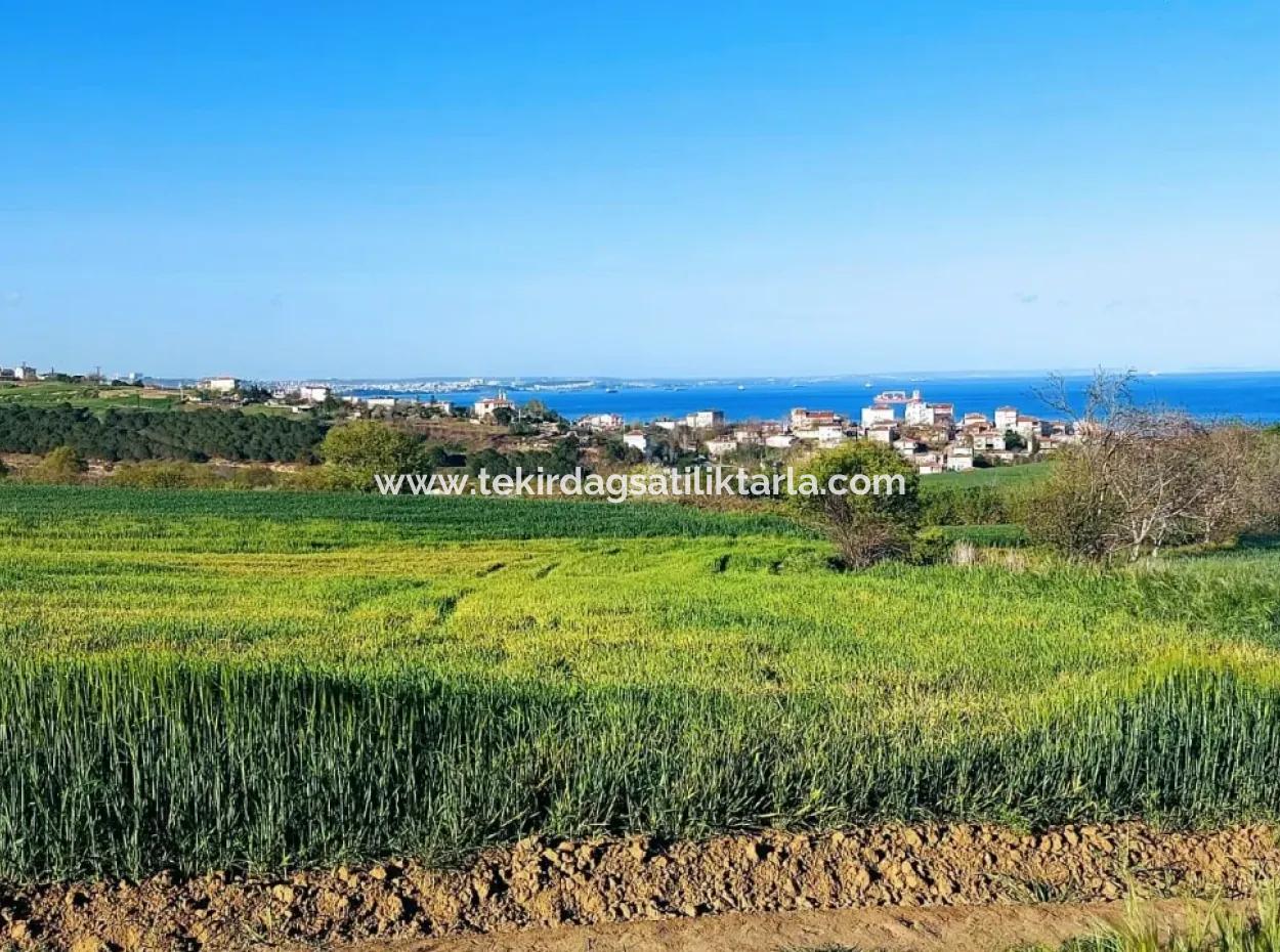Investment Opportunity: 615 M2 Corner Land For Sale In Tekirdag Barbaros - Urgent Sale, Sea And Nature View, 0 Zoned