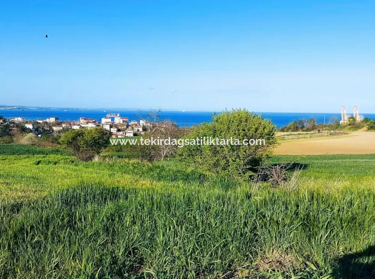 Investment Opportunity: 615 M2 Corner Land For Sale In Tekirdag Barbaros - Urgent Sale, Sea And Nature View, 0 Zoned