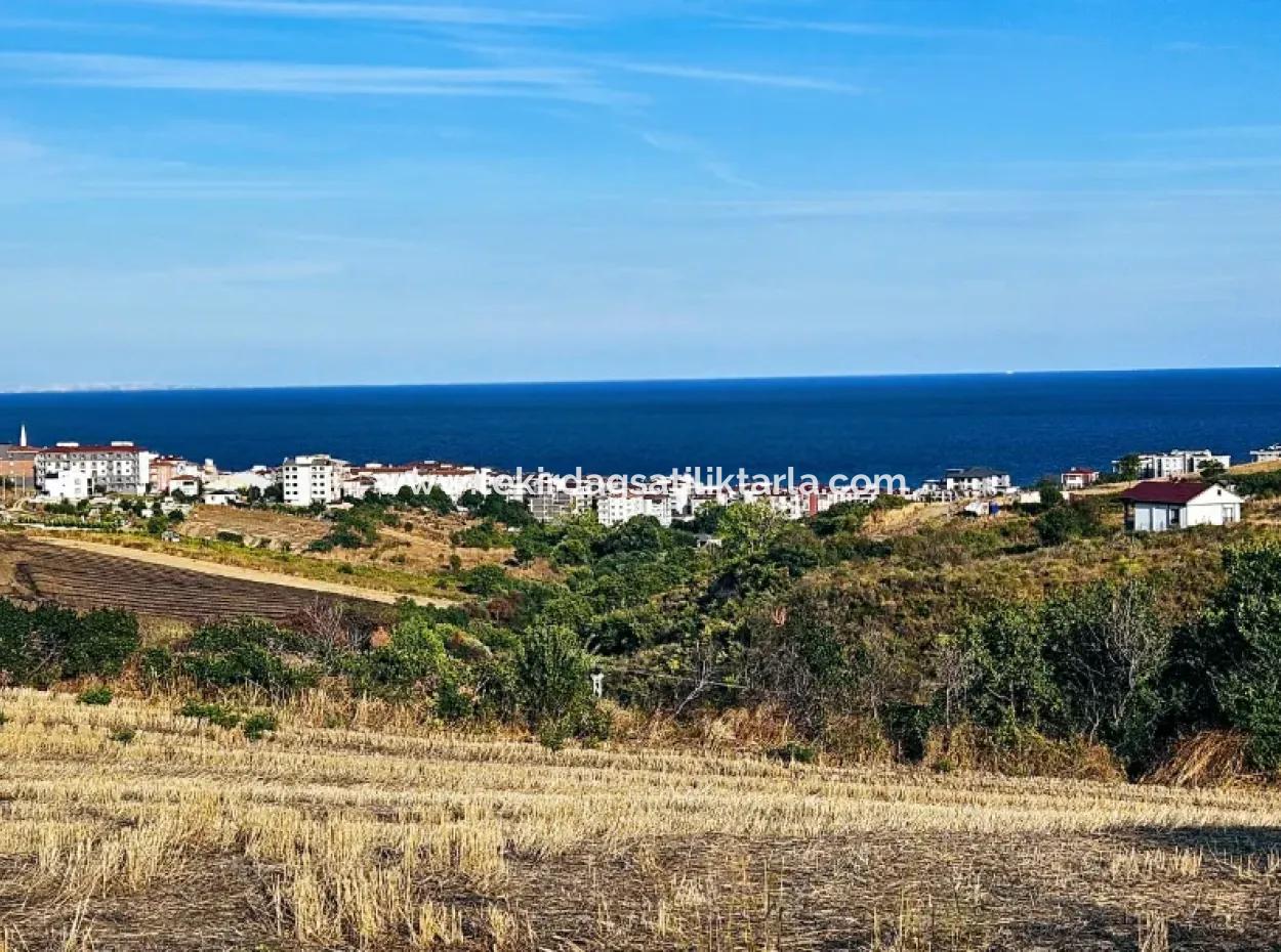 1,150 Sqm Plot Close To Ramada Hotel In Tekirdag Suleymanpasa Barbaros - Topagac
