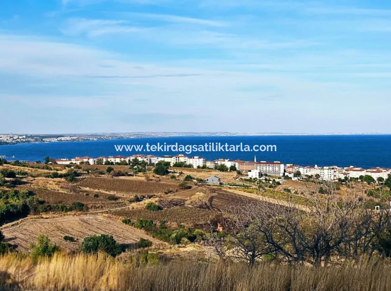 1,150 Sqm Plot Close To Ramada Hotel In Tekirdag Suleymanpasa Barbaros - Topagac