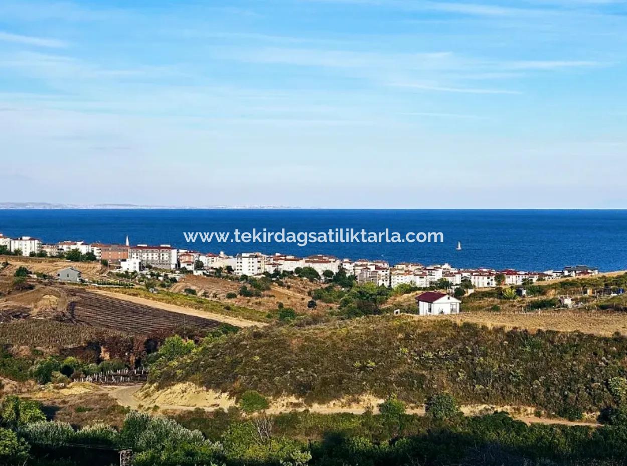 1,150 Sqm Plot Close To Ramada Hotel In Tekirdag Suleymanpasa Barbaros - Topagac