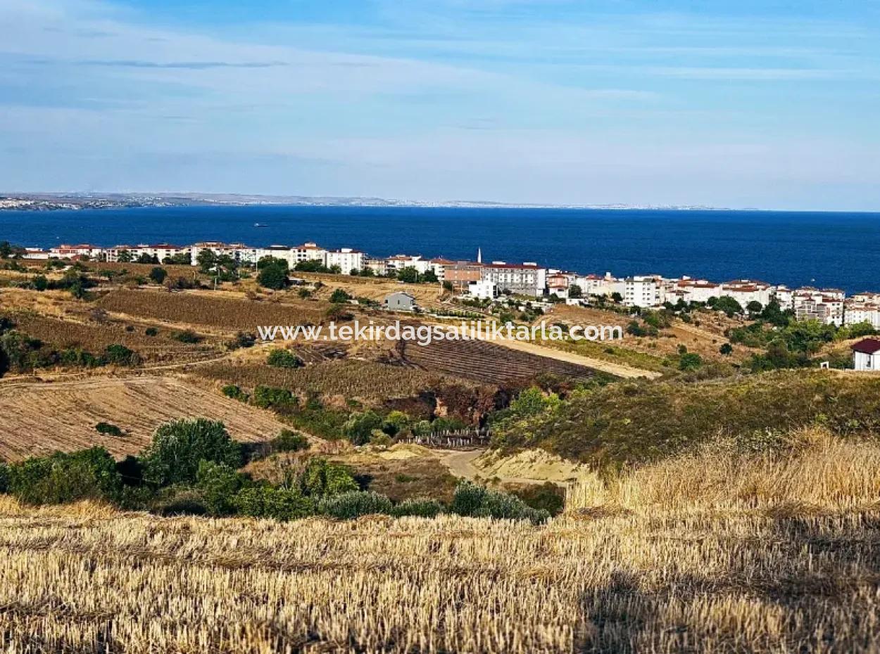 1,150 Sqm Plot Close To Ramada Hotel In Tekirdag Suleymanpasa Barbaros - Topagac