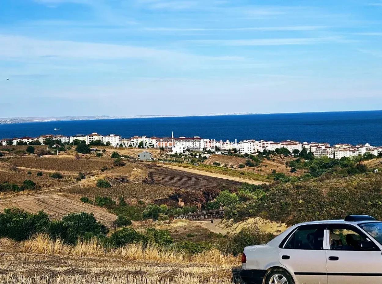 1,150 Sqm Plot Close To Ramada Hotel In Tekirdag Suleymanpasa Barbaros - Topagac
