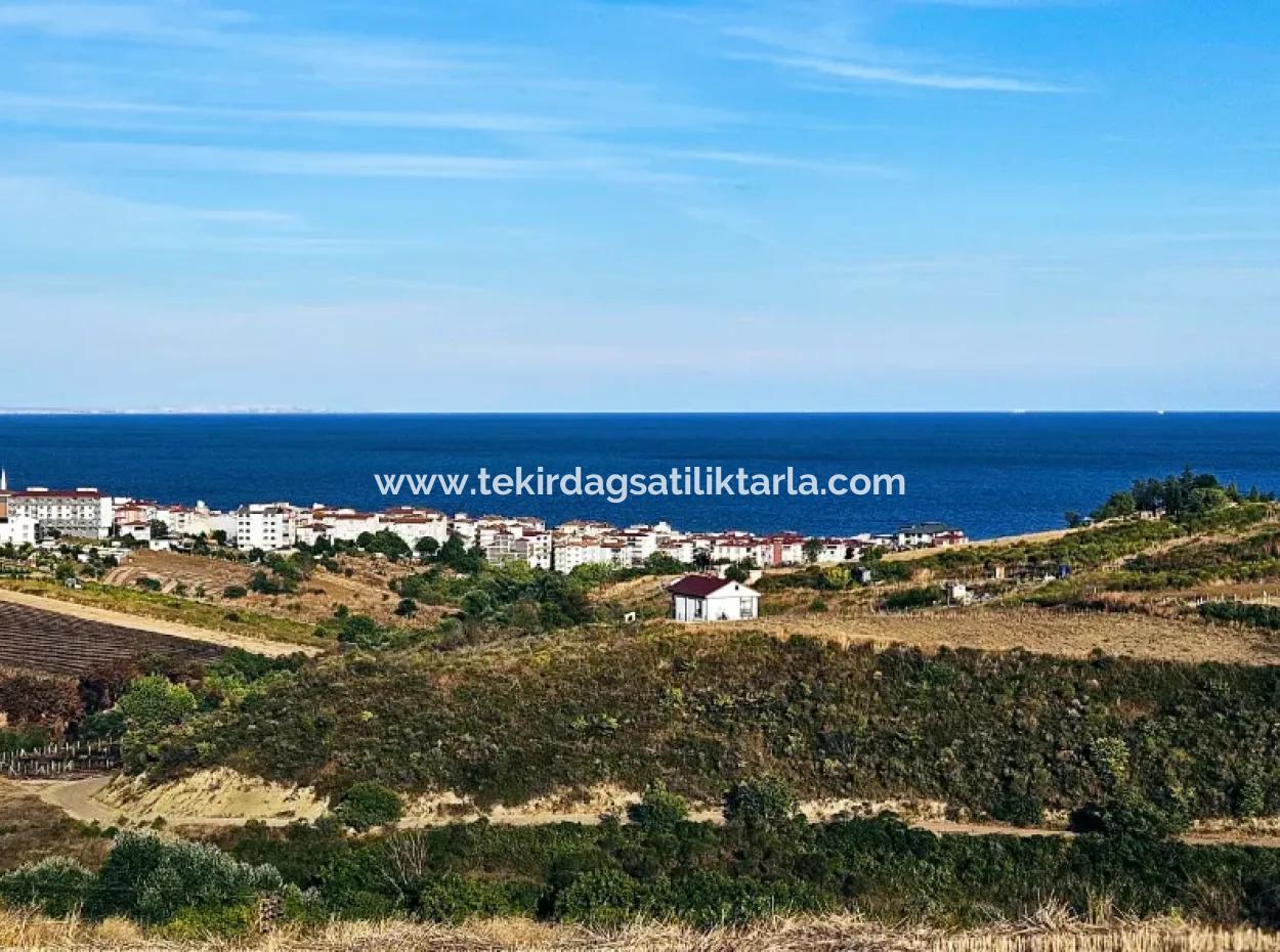 1,150 Sqm Plot Close To Ramada Hotel In Tekirdag Suleymanpasa Barbaros - Topagac