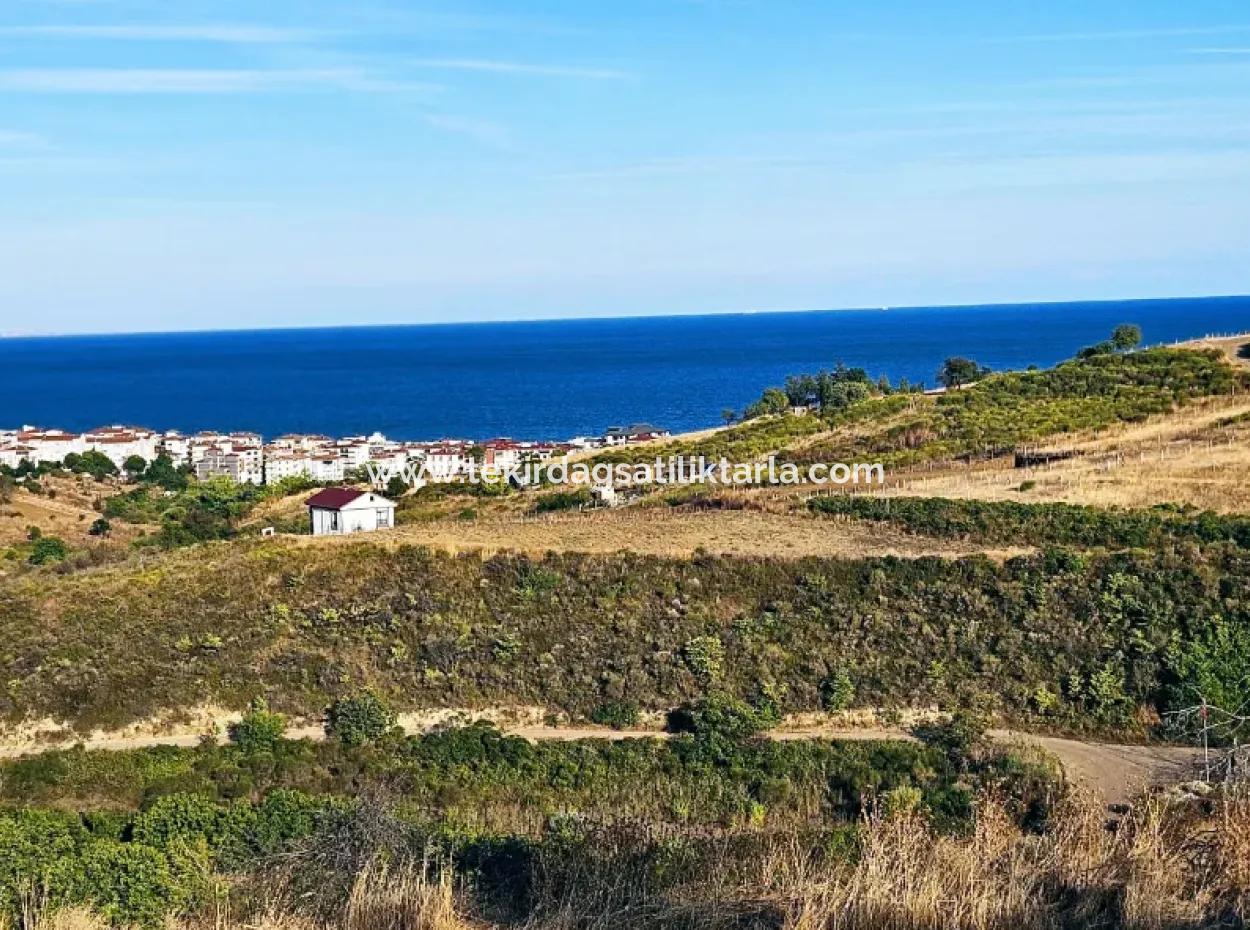 1,150 Sqm Plot Close To Ramada Hotel In Tekirdag Suleymanpasa Barbaros - Topagac