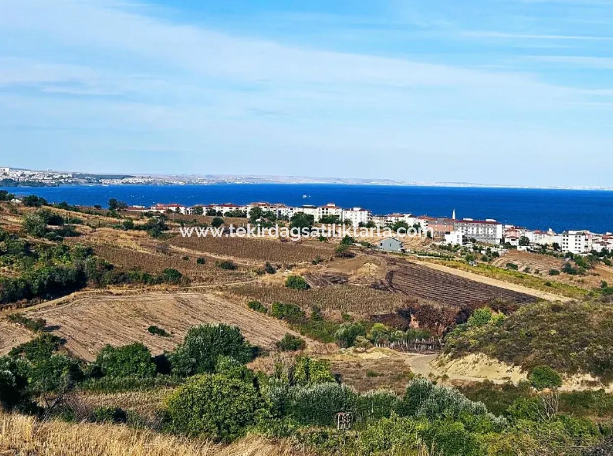 1,150 Sqm Plot Close To Ramada Hotel In Tekirdag Suleymanpasa Barbaros - Topagac