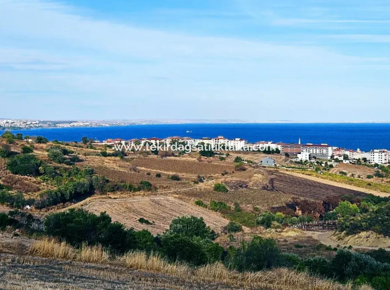 1,150 Sqm Plot Close To Ramada Hotel In Tekirdag Suleymanpasa Barbaros - Topagac