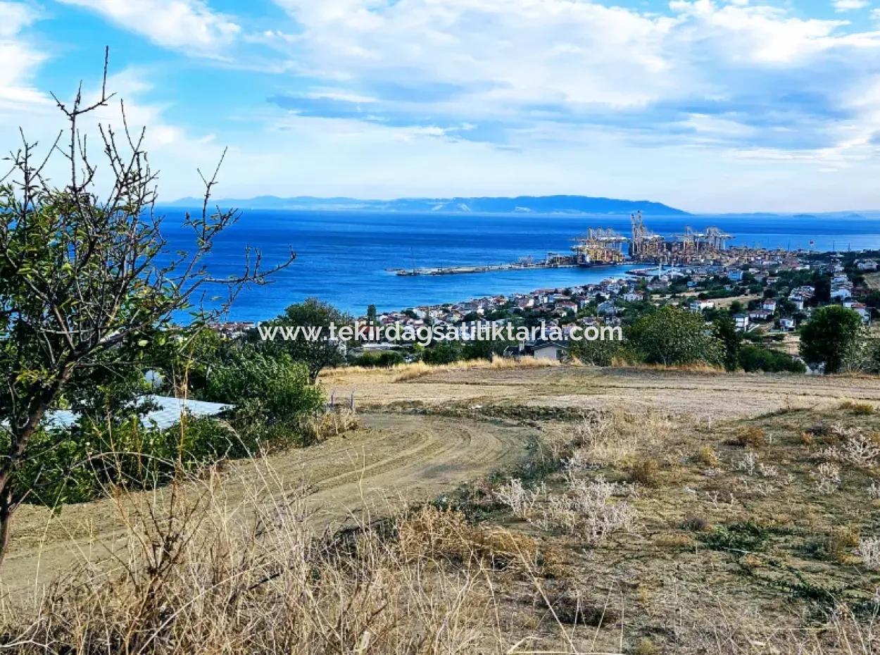Coupon Land For Urgent Sale Suitable For Building Your Detached House With Wonderful Sea View In Tekirdag Barbarosta