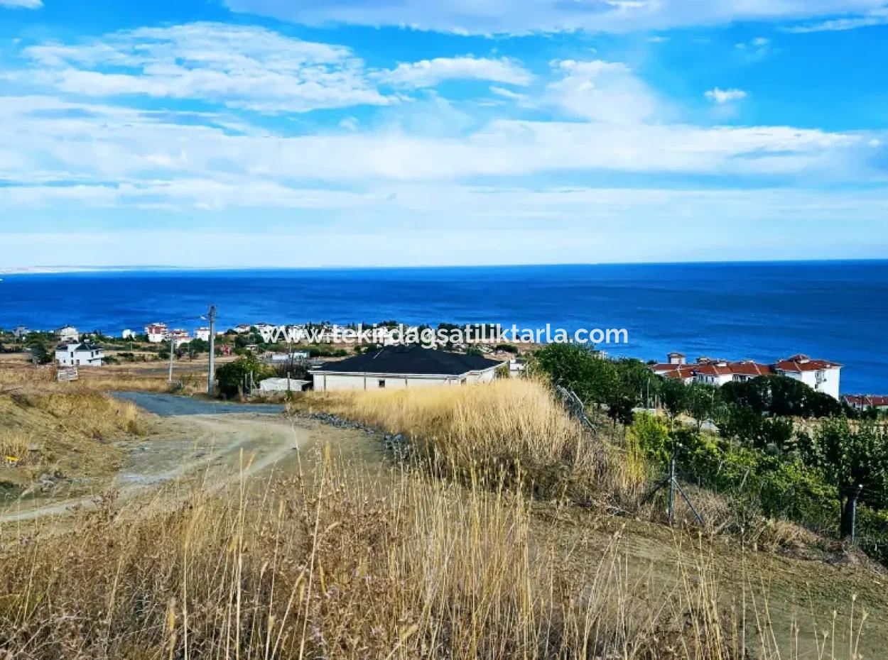 Coupon Land For Urgent Sale Suitable For Building Your Detached House With Wonderful Sea View In Tekirdag Barbarosta