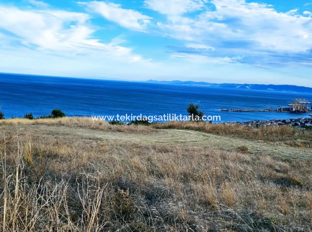 Coupon Land For Urgent Sale Suitable For Building Your Detached House With Wonderful Sea View In Tekirdag Barbarosta
