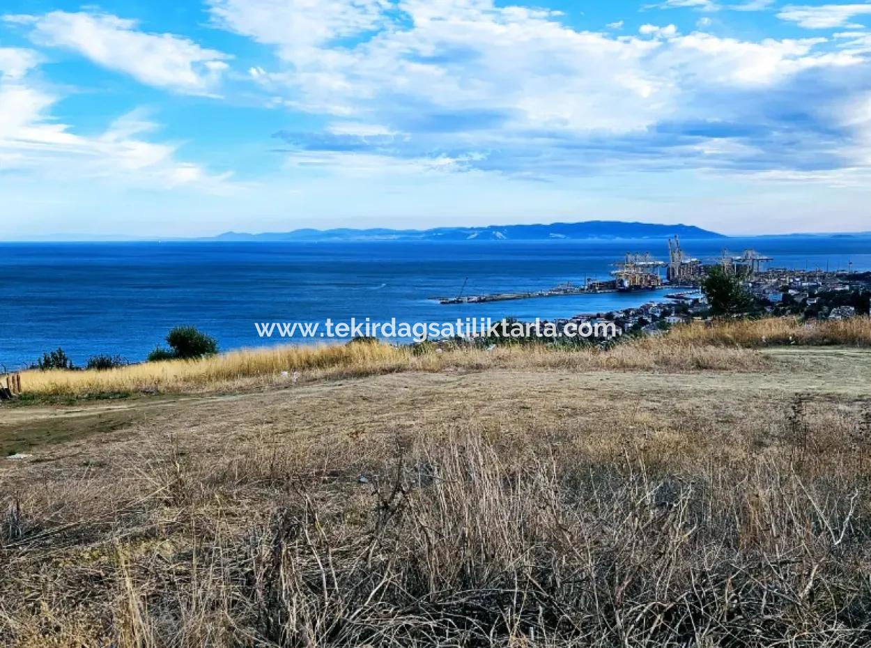 Coupon Land For Urgent Sale Suitable For Building Your Detached House With Wonderful Sea View In Tekirdag Barbarosta