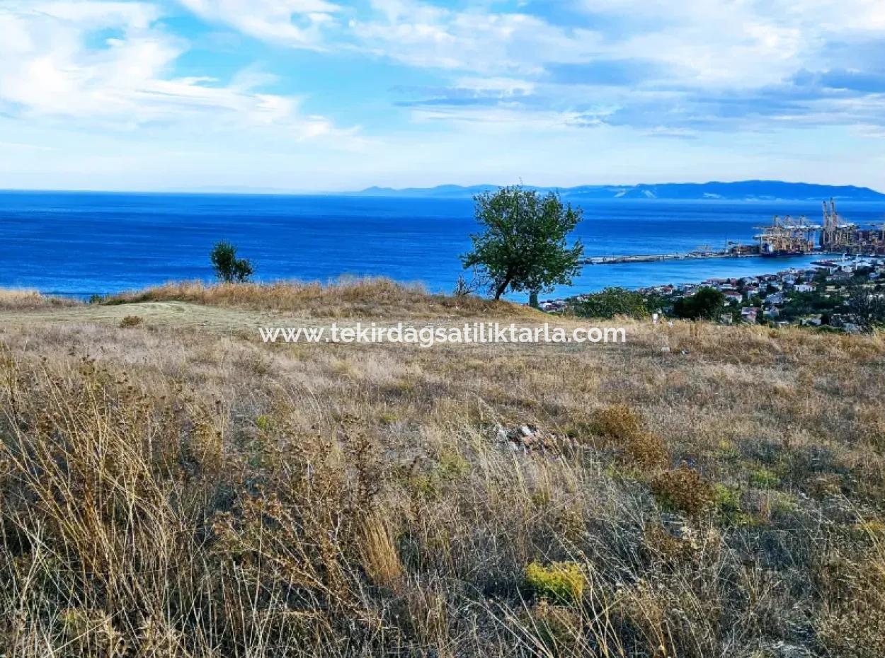 Coupon Land For Urgent Sale Suitable For Building Your Detached House With Wonderful Sea View In Tekirdag Barbarosta