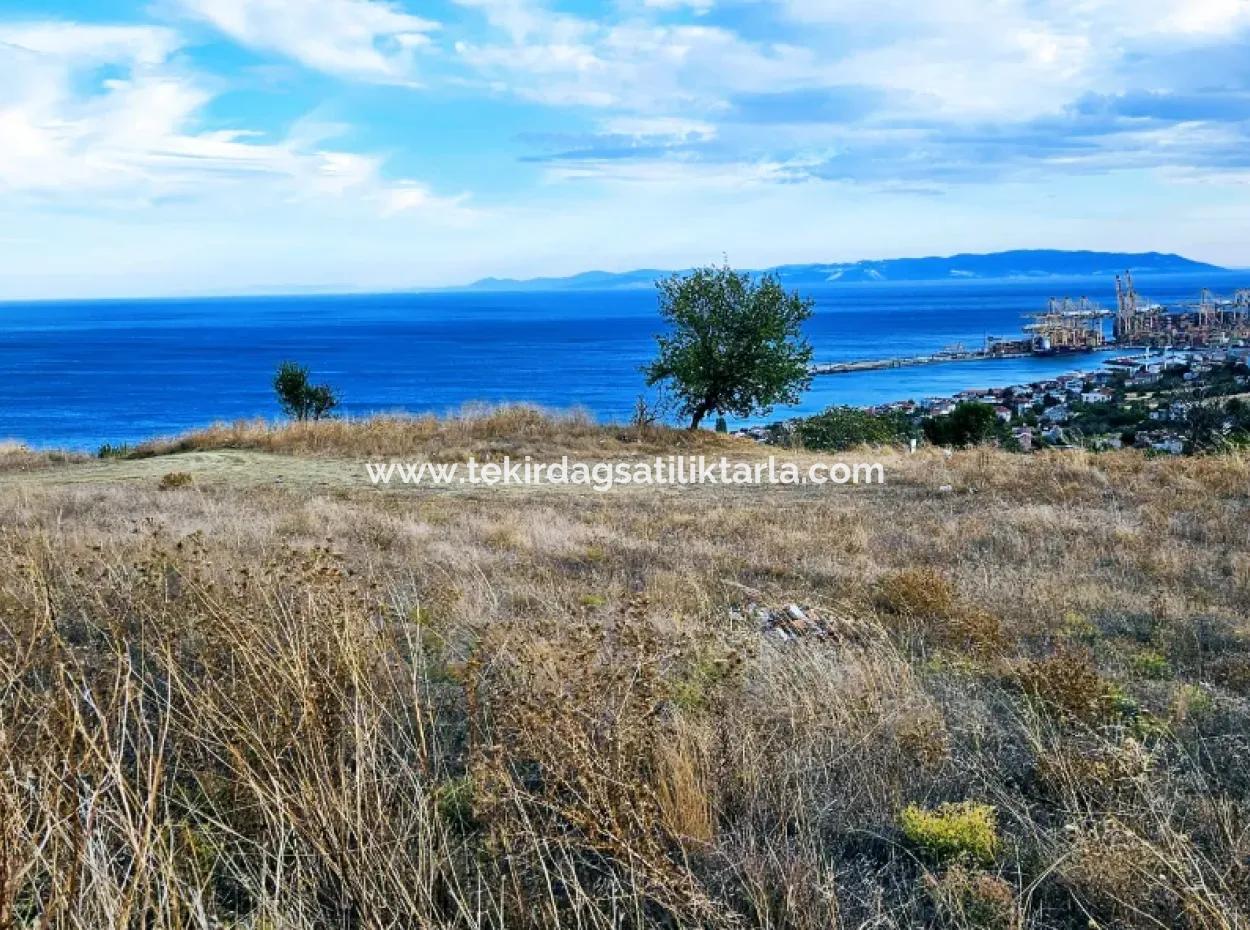 Coupon Land For Urgent Sale Suitable For Building Your Detached House With Wonderful Sea View In Tekirdag Barbarosta