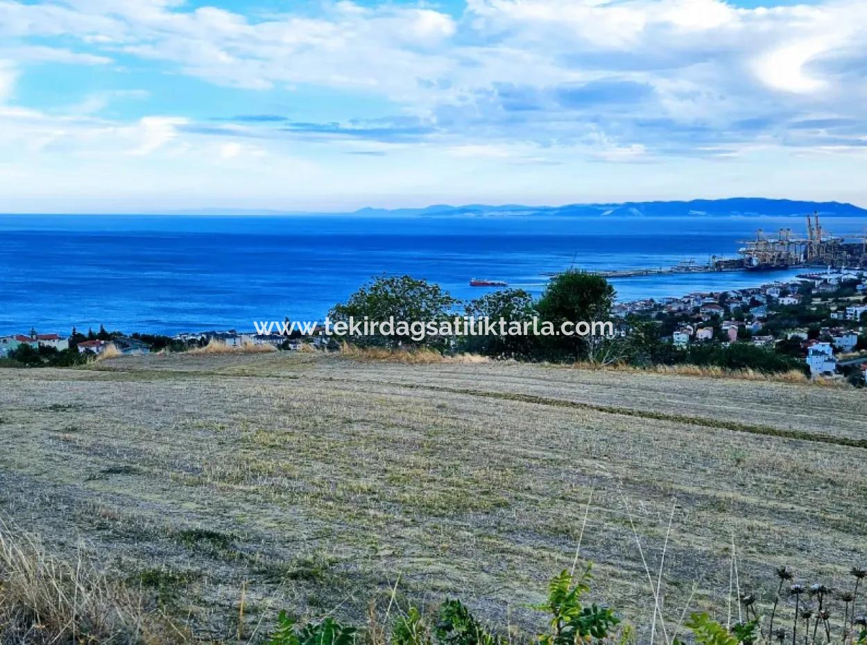 Coupon Land For Urgent Sale Suitable For Building Your Detached House With Wonderful Sea View In Tekirdag Barbarosta