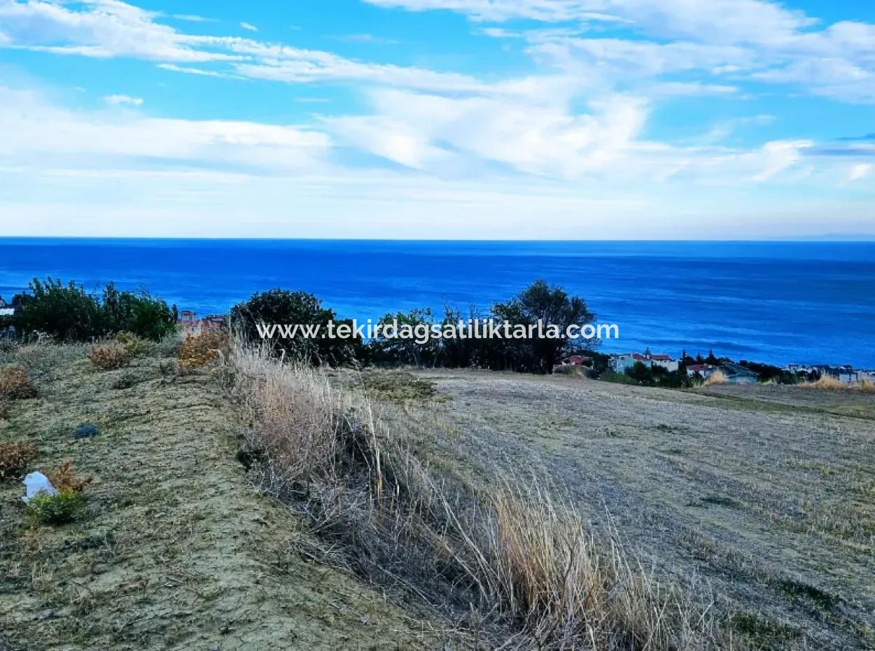 Coupon Land For Urgent Sale Suitable For Building Your Detached House With Wonderful Sea View In Tekirdag Barbarosta