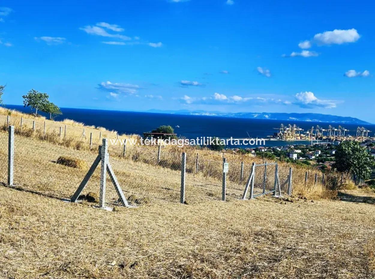 Full Sea View Swap Cash 765 M2 Opportunity Coupon Plot For Urgent Sale