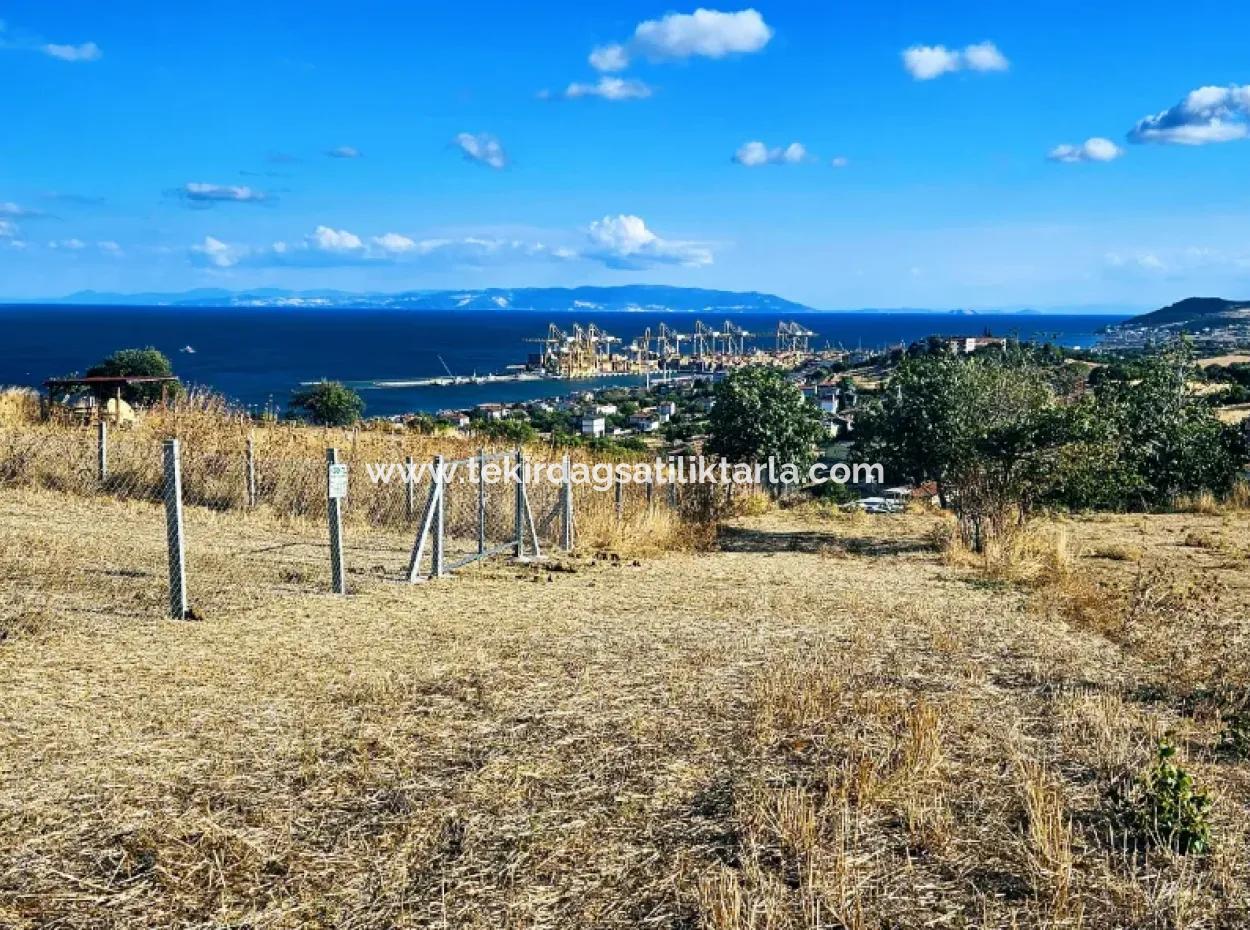 Full Sea View Swap Cash 765 M2 Opportunity Coupon Plot For Urgent Sale