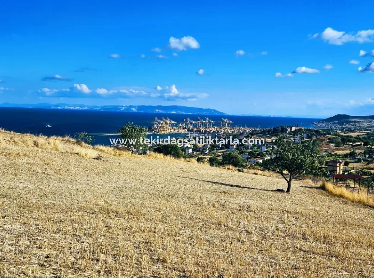 Full Sea View Swap Cash 765 M2 Opportunity Coupon Plot For Urgent Sale