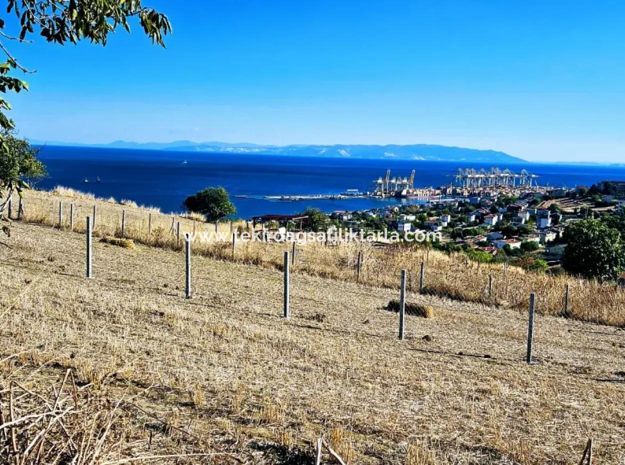 Full Sea View Swap Cash 765 M2 Opportunity Coupon Plot For Urgent Sale