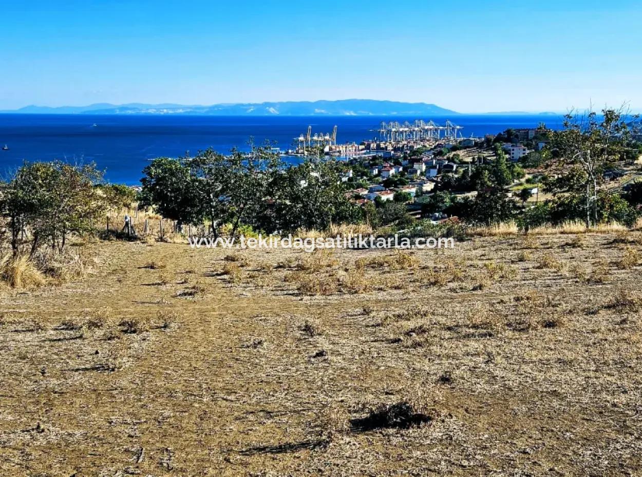 Full Sea View Swap Cash 765 M2 Opportunity Coupon Plot For Urgent Sale