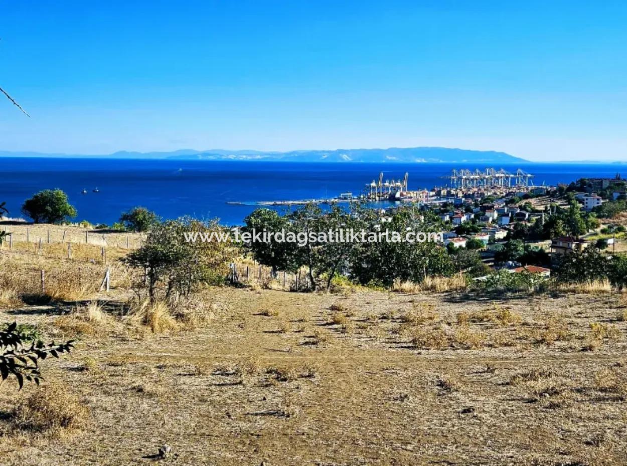 Full Sea View Swap Cash 765 M2 Opportunity Coupon Plot For Urgent Sale
