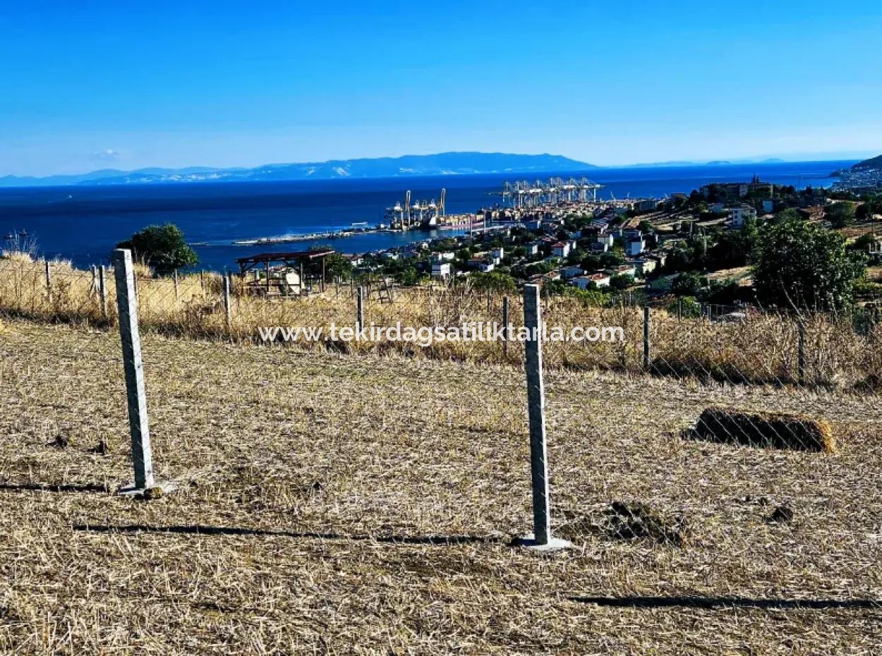 Full Sea View Swap Cash 765 M2 Opportunity Coupon Plot For Urgent Sale