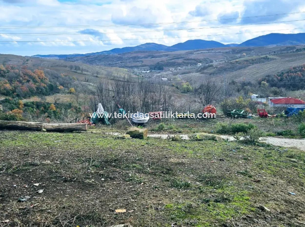 Opportunity Corner Land For Enthusiasts Who Want To Build A Village House For Urgent Sale