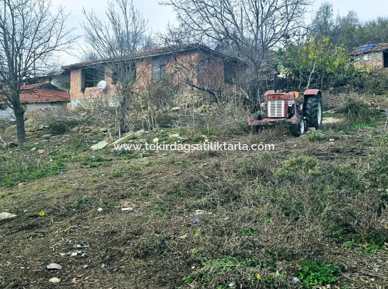 Opportunity Corner Land For Enthusiasts Who Want To Build A Village House For Urgent Sale