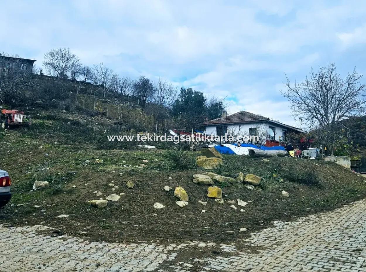 Opportunity Corner Land For Enthusiasts Who Want To Build A Village House For Urgent Sale