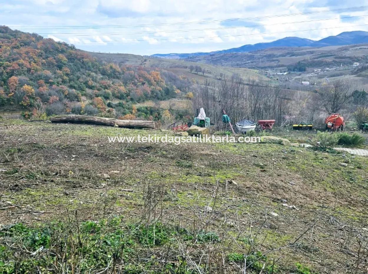 Opportunity Corner Land For Enthusiasts Who Want To Build A Village House For Urgent Sale