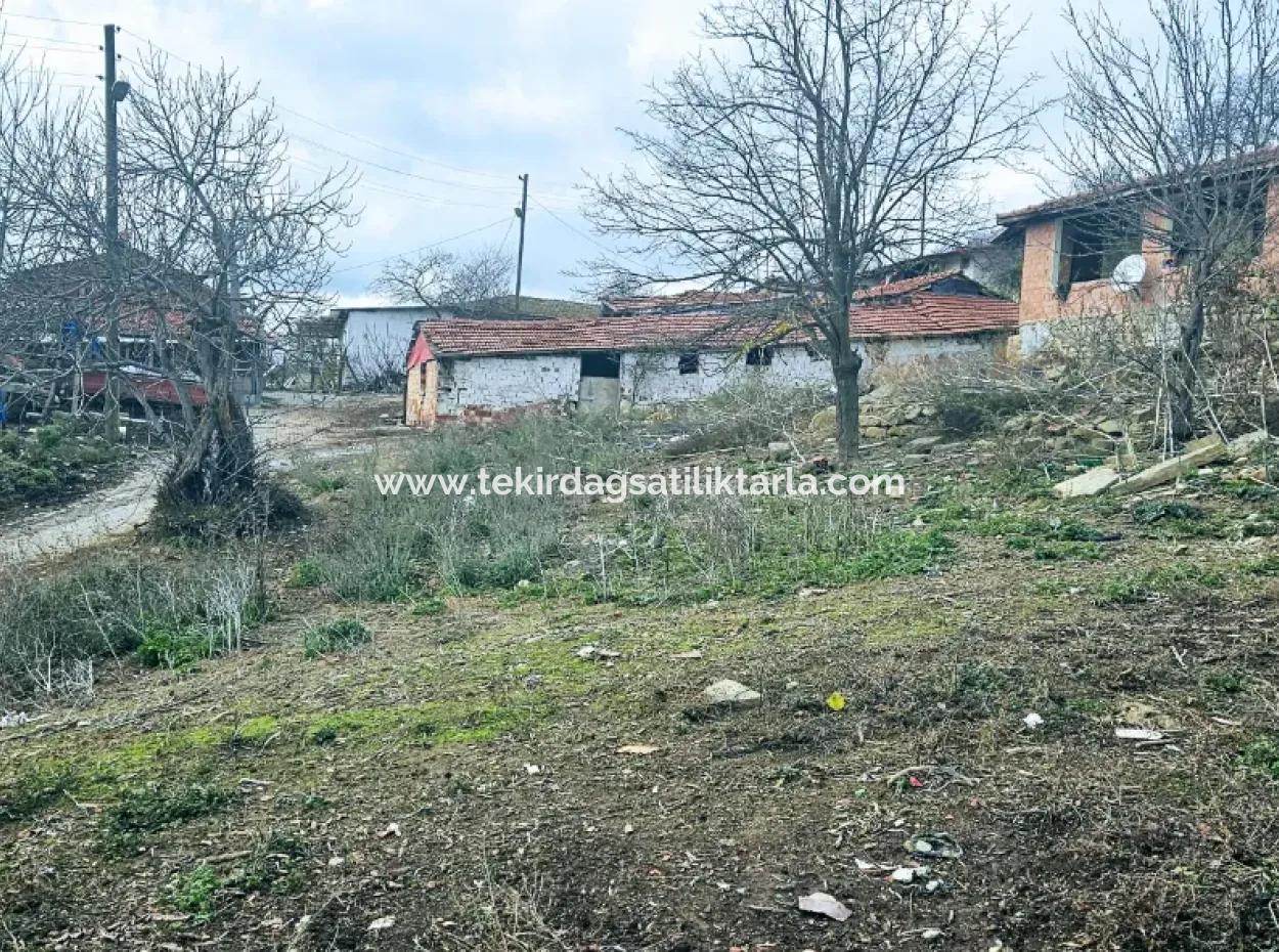 Opportunity Corner Land For Enthusiasts Who Want To Build A Village House For Urgent Sale